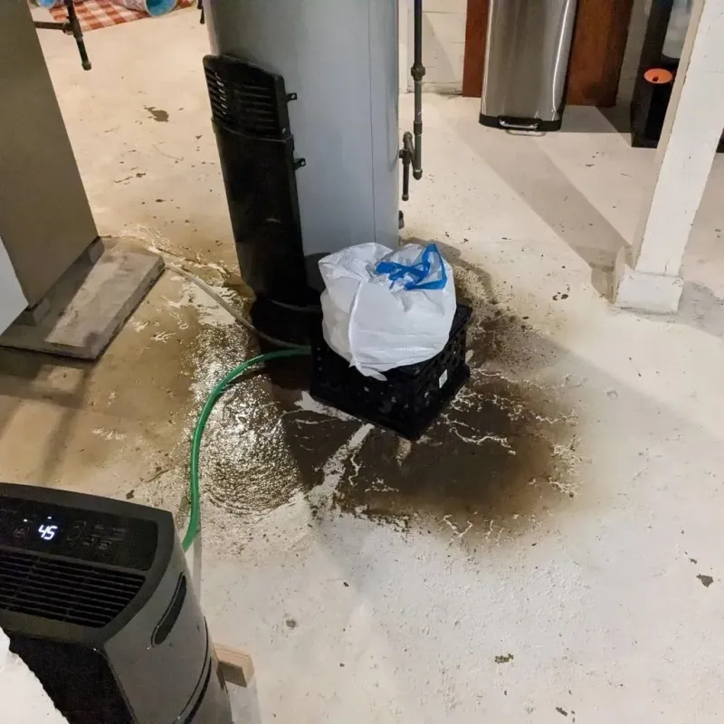 Sewage Backup Cleanup Service in Pierce County, GA